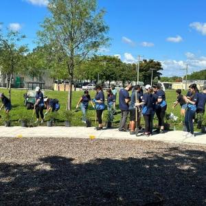 volunteers at work at a park