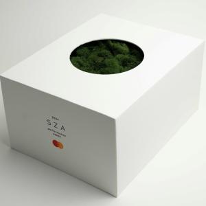 SZA Mastercard box