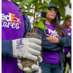 Close up of a volunteer holding a plant.