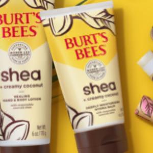 Burts Bees Lotions and Lip balms