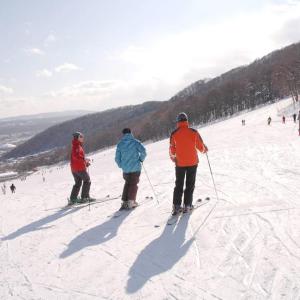 Two people getting a ski lesson from a third on a snow hill.