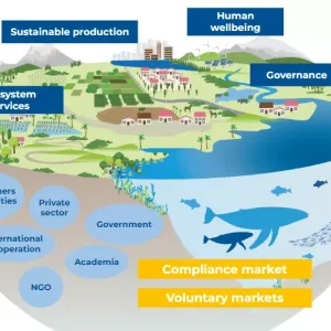 Activities under the SLA should fall under one of four pillars (top), are generally supported by various stakeholders (bottom-left), and can obtain financing through environmental markets (bottom-right).
