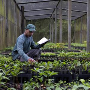 A man with a notebook surrounded by seedlings