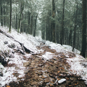 Great Smoky Mountains