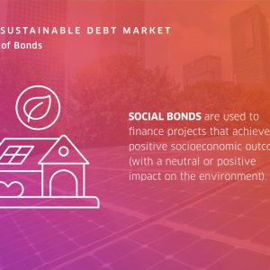 Info graphic "Nasdaq sustainable deb market" four types of Bonds: Social bonds and a sketch of a house