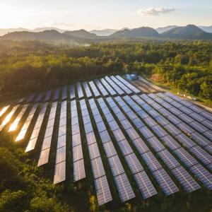 array of solar panels