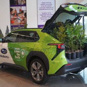 Solterra with trees in the back