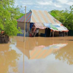 In Ethiopia's Somali region, many villages are nearly submerged.