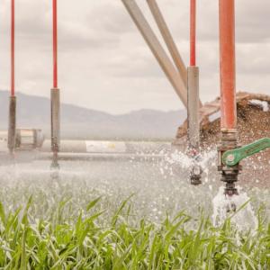 Sprinkler system over grass