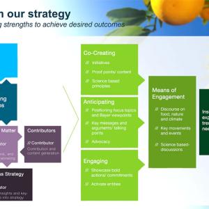 Info graphic flow chart "How we inform our strategy"
