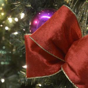 A red ribbon shown on a holiday tree with lights and ornaments