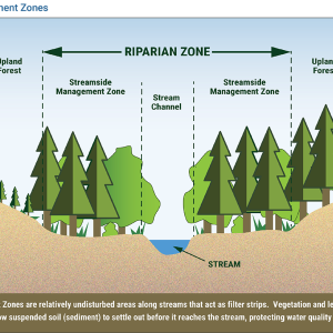 Info graphic "Riverside Management Zone" showing a cross-section of a digital forest and waterway with different zones labeled.