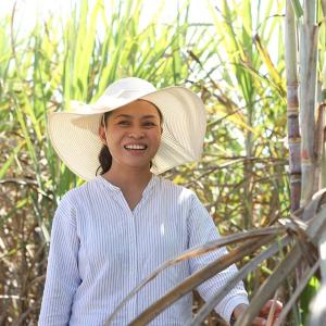 A person in a large brim hat standing in a sugar cane field