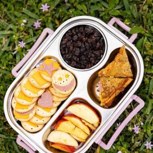 A lunchbox filled with different foods, placed on a grassy background.