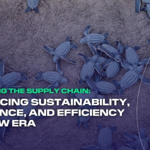 Baby turtles on a beach. "Redefining the supply chain:..."