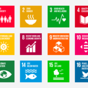 Sustainable Development Goals and 17 symbols in boxes for each one