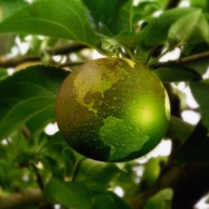 Image of a "green" world hanging from a tree 