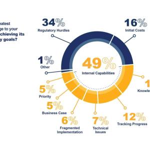 internal capabilities graph