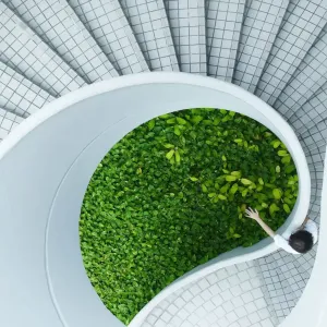 A hand reaching over a central area of greenery in a white spiral staircase.