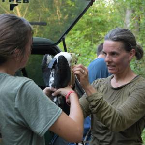A person holding a swallow-tailed kite 