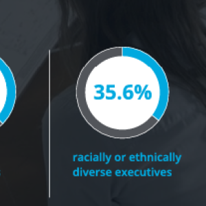Our diverse team at a glance info graphic. Three pie charts with statistics.