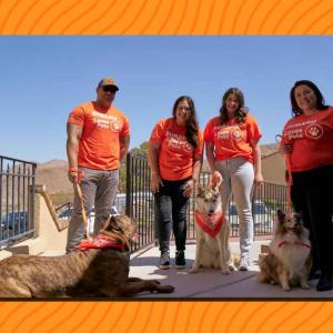 Four people in matching shirts with their dogs on leashes