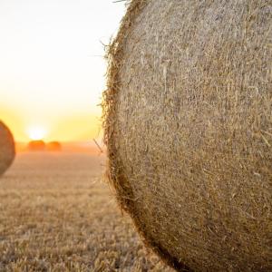 hay bale