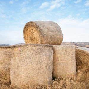 hay bales