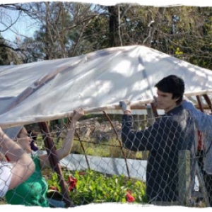 Employees lifting up a tent