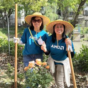 volunteers around a plant