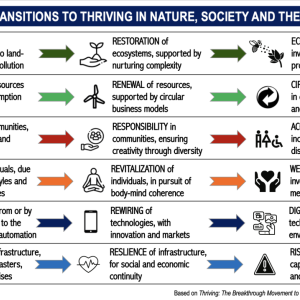 The 6 great transitions to thriving