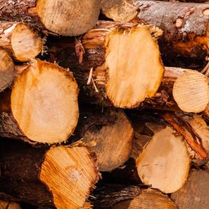 Close up of a stack of cut timbers