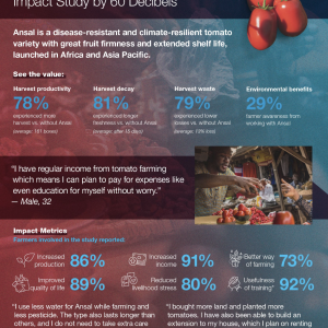 Infographic on Ansal Tomatoes Kenya 