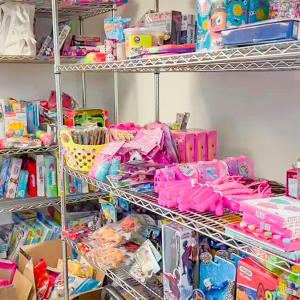 Shelves of kids toys and books