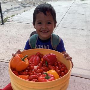 Boy with bucket of produce