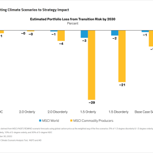 Info graph bar chart "Translating Climate Scenarios to Strategy Impact" Estimated portfolio loss from transition risk by 2030.