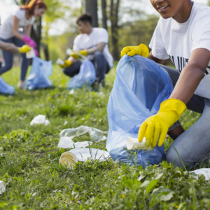 People kneeling down to pick up trash in a park like setting. They are wearing yellow protective gloves.