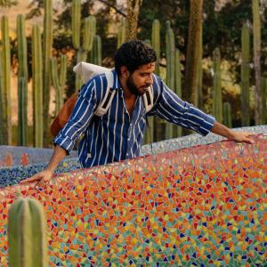 A person leaning over a colorful mosaic barrier. Cacti in the background.
