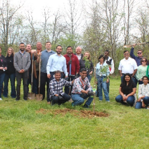 TCS employees volunteer to plant trees