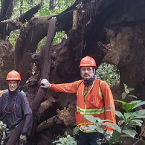 A team posing with tree roots