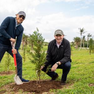 Two men planting a tree in Bermuda