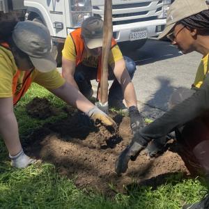 Volunteers planting trees in an easement.