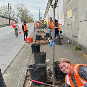 Volunteers planting trees on the side of a road.
