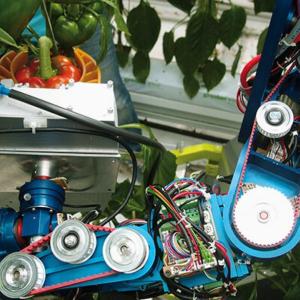 robotic arm grabs a red pepper