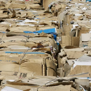 cardboard waste