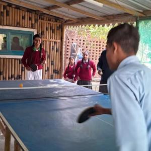 people playing table tennis