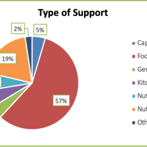 Type of Support pie chart