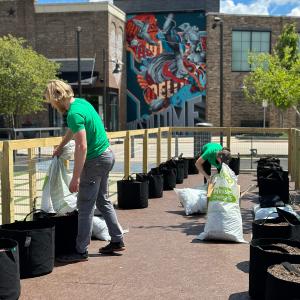 People filling fabric pots with soil in a fenced off area.
