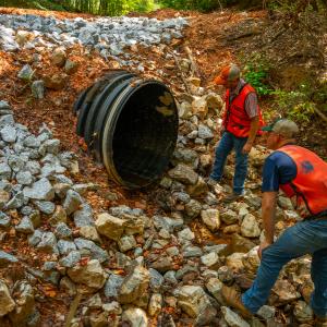 people looking at a drain pipe