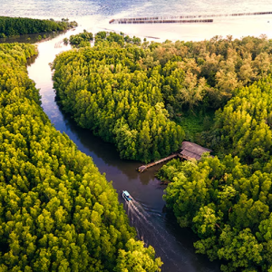 River delta aerial view
